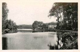 77* SAMOIS SUR SEINE Vue Sur La Seine    (CPSM 9x14cm)   RL07.0816 - Samois