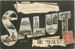 77* MEAUX   Salut  - Multivues    RL07.0608 - Meaux