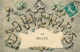 77* MEAUX    Souvenir  RL07.0611 - Meaux