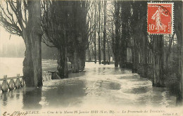 77* MEAUX   Crue 1910  Promenade Des  Trinitaires   RL07.0576 - Meaux