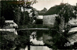 77* LA FERTE GAUCHER    Pont Des Grenouilles  (CPSM 9x14cm)   RL07.1283 - La Ferte Gaucher