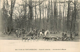 77* FONTAINEBLEAU  Chasse A Courre  Arrivee  De La Meute     RL07.1255 - Chasse