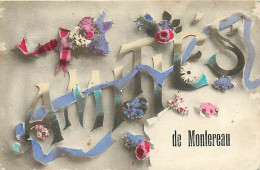 77* MONTEREAU  Amities  RL07.0928 - Montereau