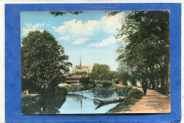 80  .AMIENS  ,  Les Bords De La SOMME , Chemin De Halage  . - Amiens