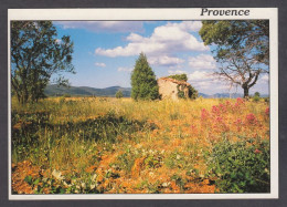 121361/ PAILHARES, *Reflets De Provence* - Other & Unclassified