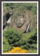 099534/ Cascade Du Ray-Pic - Other & Unclassified
