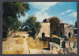 111846/ Crete Island, Gortyna, Saint Titus Basilica - Grèce