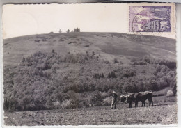 SUSSAC  LE MONT GARGAN - Sonstige & Ohne Zuordnung