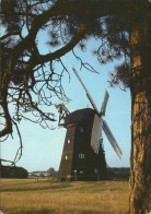 Alt Schwerin Agrarhistorisches Museum, Erdholländermühle 1988 - Other & Unclassified