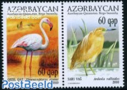 Azerbaijan 2010 Caspic Sea, Joint Issue Kazachstan 2v [:], Mint NH, Nature - Various - Birds - Environment - Joint Iss.. - Environment & Climate Protection