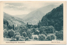 Naja 1918 - Orastie - Roumanie