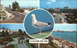 11474826 Clacton-on-Sea Marine Parade Pier Beach Clacton-on-Sea - Autres & Non Classés