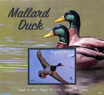 Antigua & Barbuda 2020 Mallard Duck S/s, Mint NH, Nature - Birds - Ducks - Antigua Und Barbuda (1981-...)