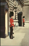 11474595 London Irish Guards On Sentry Duty Buckingham Palace - Autres & Non Classés