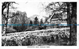 R076233 Springtime Near Dunham Park. RP. 1965 - Welt