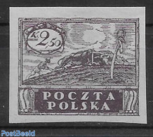 Poland 1919 Stamp Out Of Set. 1 V., Unused (hinged) - Neufs