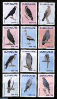 Suriname, Republic 2015 Birds 12v, Mint NH, Nature - Birds - Birds Of Prey - Ducks - Surinam