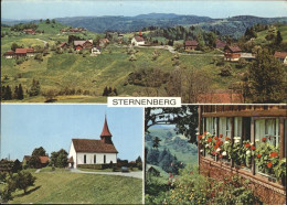 11466867 Sternenberg ZH Panorama Kirche Sternenberg ZH - Autres & Non Classés