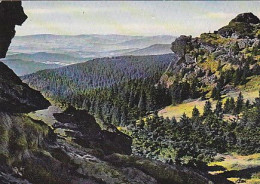 AK 211060 GERMANY - Richard-Wagner-Kopf Am Gr. Arber - Bayer. Wald - Autres & Non Classés