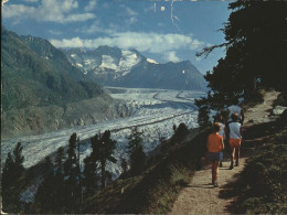 11464192 Aletschgletscher Mit Aletschwald Aletschgletscher - Sonstige & Ohne Zuordnung