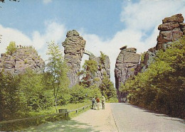 AK 211078 GERMANY - Die Externsteine Im Teutoburger Wald - Andere & Zonder Classificatie