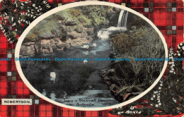 R077937 Robertson. Swans In Pittencrieff Glen. Dunfermline. Tartan Series No. 41 - World