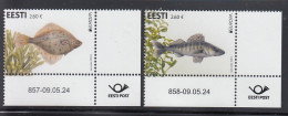 ESTONIA 2024- EUROPA-Underwater Fauna And Flora (09.05.24) - Estland