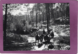 40 LES LANDES D'AUTREFOIS  Attelages De Mules En Forêt  Cliché Emile VIGNES - Autres & Non Classés