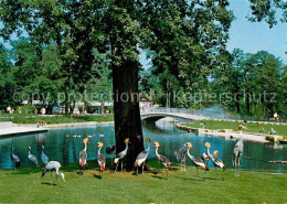 72993648 Hannover Zoologischer Garten Stelzvogelwiese Hannover - Hannover