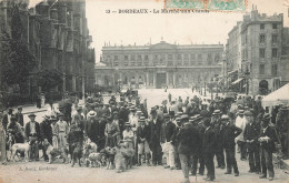 Bordeaux * 1906 * Le Marché Aux Chiens * Market Dogs - Bordeaux