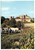 Vendanges à Larressingle - Village Fortifié - Gers - Sonstige & Ohne Zuordnung