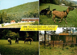 72991570 Voehl JRK Schullandheim Und Zeltlager Albert Schweitzer Voehl - Andere & Zonder Classificatie