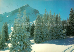 72991537 Garmisch-Partenkirchen Alpspitze Im Winter Blick Vom Kreuzeck Garmisch- - Garmisch-Partenkirchen