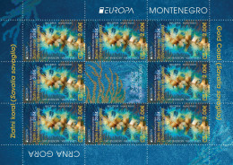 2024 Europe, Underwater Fauna And Flora Golden Coral (Savalia Savaglia) Montenegro, MNH - Montenegro