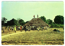 Guinée Portuguaise - Choro - Guinea Bissau