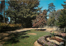 36 - Chateauroux - Le Jardin Public - Fleurs - Flamme Postale De Chateauroux - CPM - Voir Scans Recto-Verso - Chateauroux