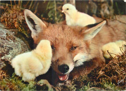 Animaux - Renards - Poussins - Les Animaux De Jean Lourane - Fox - CPM - Voir Scans Recto-Verso - Sonstige & Ohne Zuordnung