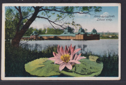 Ansichtskarte Künstlerkarte Heviz Ungarn See Landschaft Seerose Nach Wien - Hungary