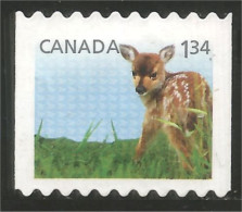 Canada Faon Fawn Kitz Reekalf Fulvo Adular Mint No Gum (13-001) - Oblitérés