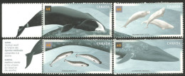 Canada Baleine Dauphin Whale Dolphin Wal Delphin Balena Delfino Mint No Gum (4-009) - Wale