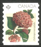 Canada Fleur Flower Hydrangea Hydrangée Coil Roulette Mint No Gum (410) - Other & Unclassified