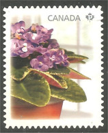 Canada African Violet Violette Africaine Mint No Gum (362a) - Usati