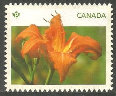 Canada Daylilies Daylily Hémérocalles Orange Mint No Gum (366a) - Usados