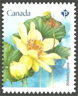 Canada Fleur Flower Mint No Gum (185) - Used Stamps
