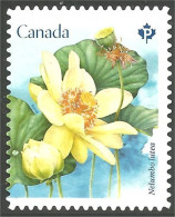 Canada Fleur Flower Mint No Gum (184) - Autres & Non Classés