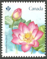 Canada Fleur Flower Rose Mint No Gum (175) - Sonstige & Ohne Zuordnung