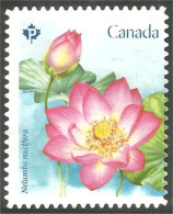 Canada Fleur Flower Rose Mint No Gum (174) - Used Stamps