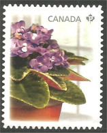 Canada Fleur Flower Mint No Gum (163) - Gebruikt