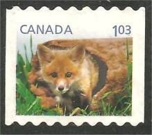 Canada Renard Fox Fuchs Volpe Raposa Zorro Vos Mint No Gum (91) - Sonstige & Ohne Zuordnung