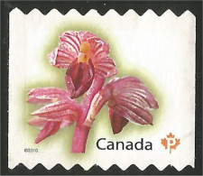 Canada Orchid Orchidée Mint No Gum (22) - Gebraucht